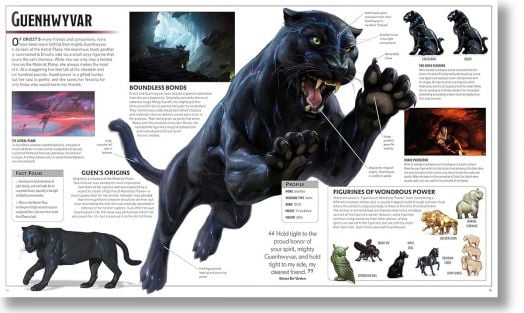 Dungeons and Dragons: The Legend of Drizzt Visual Dictionary