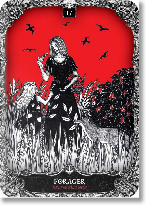 Oracle of the Witch: Reclaim Your Birthright