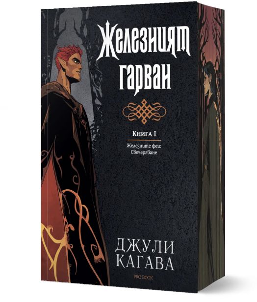 Железните Феи, книга 8: Железният гарван