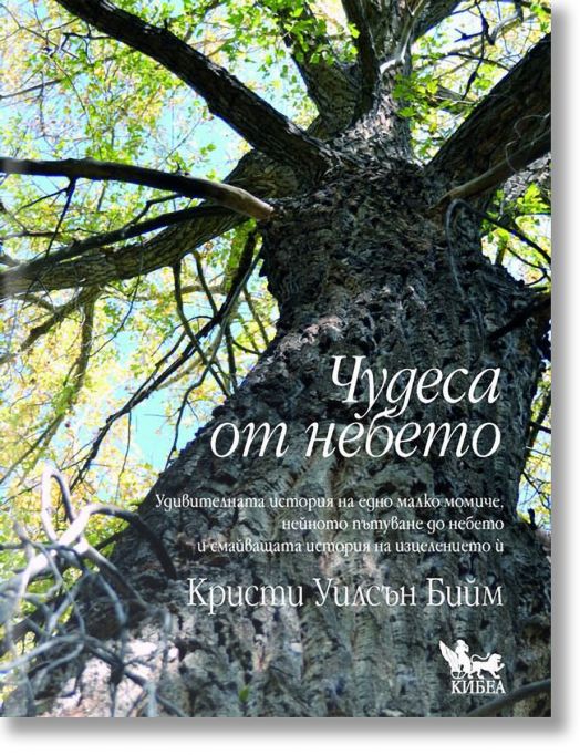 Чудеса от небето