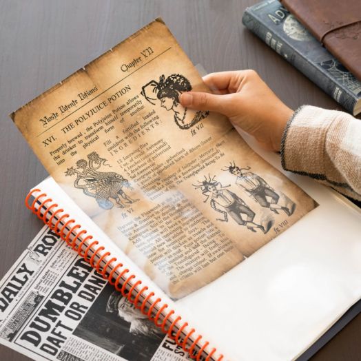 Папка с ластик Grupo Erik - Harry Potter A4