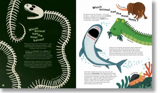 There's No Such Thing as a Silly Question