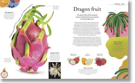 The Secret World of Plants