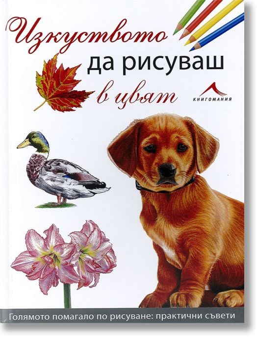 Изкуството да рисуваш в цвят