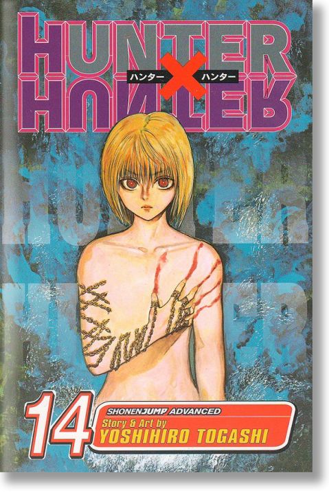 Hunter x Hunter, Vol. 14