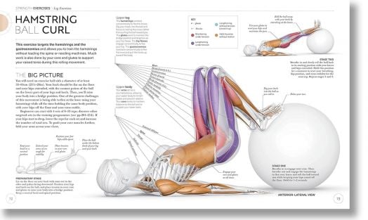 Science of Strength Training