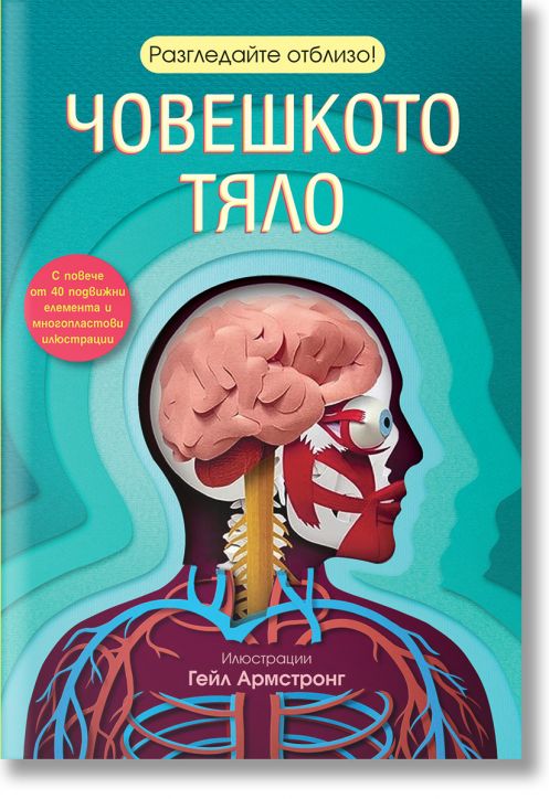 Разгледайте отблизо! Човешкото тяло