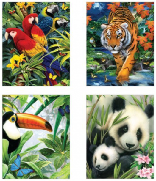 Комплект за лесно рисуване с акрилни бои Royal & Langnickel - Джунглата, 4 картини