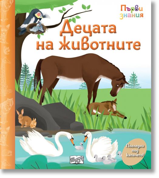 Първи знания. Погледни под капачето! Децата на животните