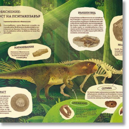 Миналото: Илюстрирано пътешествие в изгубените светове на Земята