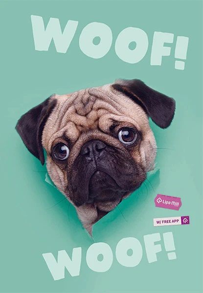 Тетрадка Mar Mar Woof A4, 40 листа с широки редове