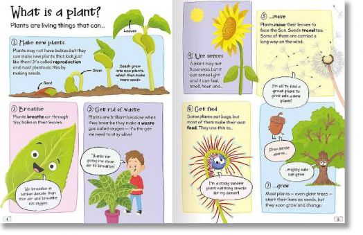 Curious Questions and Answers: Plants