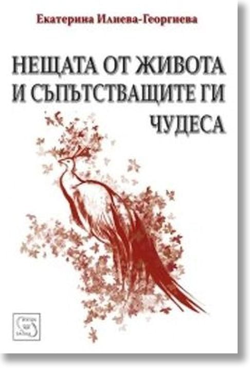 Нещата от живота и съпътстващите ги чудеса