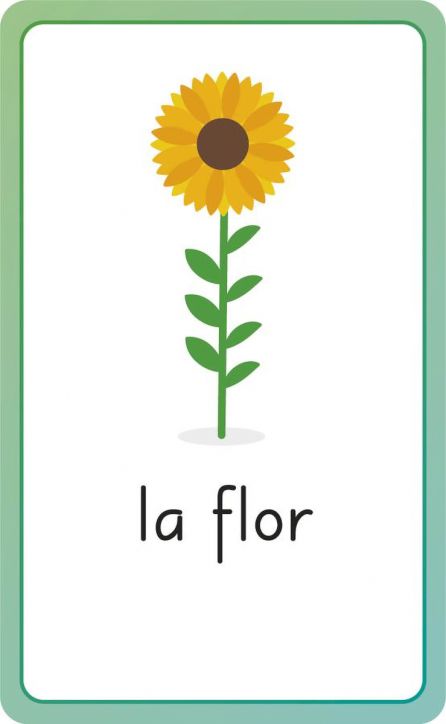 Spanish for Everyone Junior First Words Flash Card