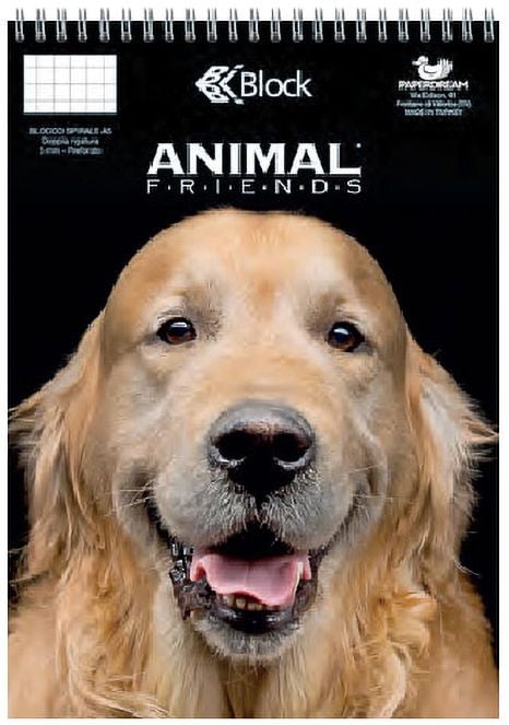 Двустранен блокнот Riplast А5, 70 листа с широки редове и квадратчета