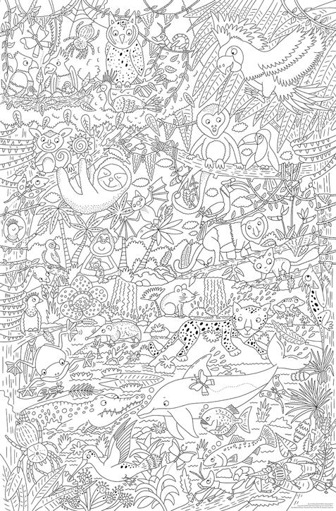 World's Biggest Colour-in: Rainforest