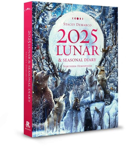 2025 Lunar and Seasonal Diary Northern Hemisphere