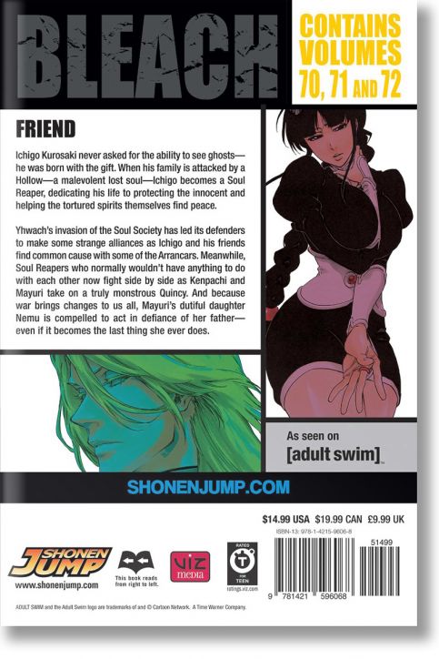 Bleach (3-in-1 Edition), Vol. 24