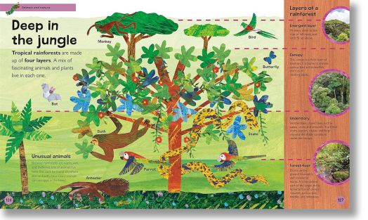 The Very Hungry Caterpillar's Very First Encyclopedia