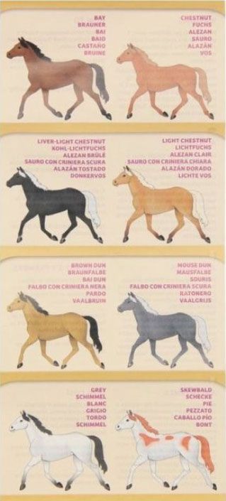 Гипсово сърце за изкопаване Thames & Kosmos - Кончета