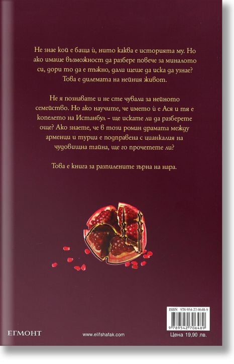 Копелето на Истанбул