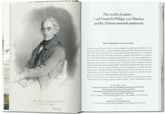 Martius. The Book of Palms. 40th Ed.