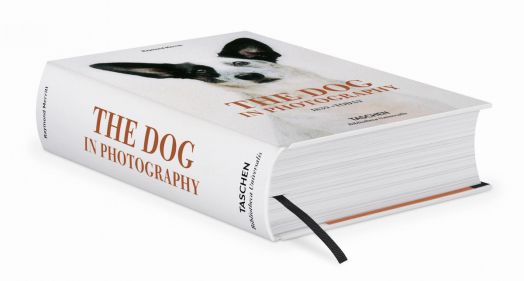 The Dog in Photography 1839-Today