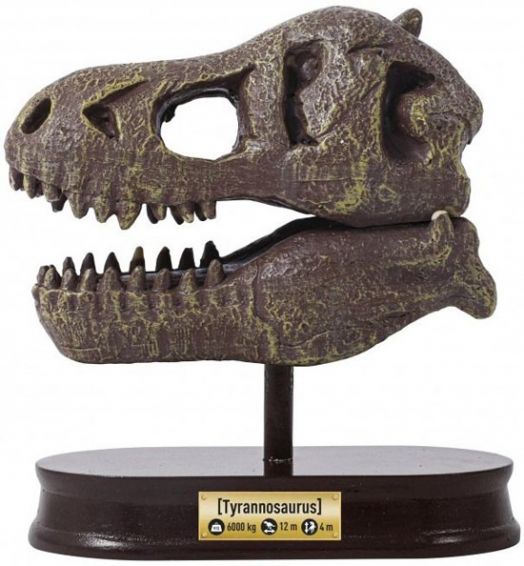 Изследователски комплект Buki - Череп на динозавър Тиранозавър Рекс