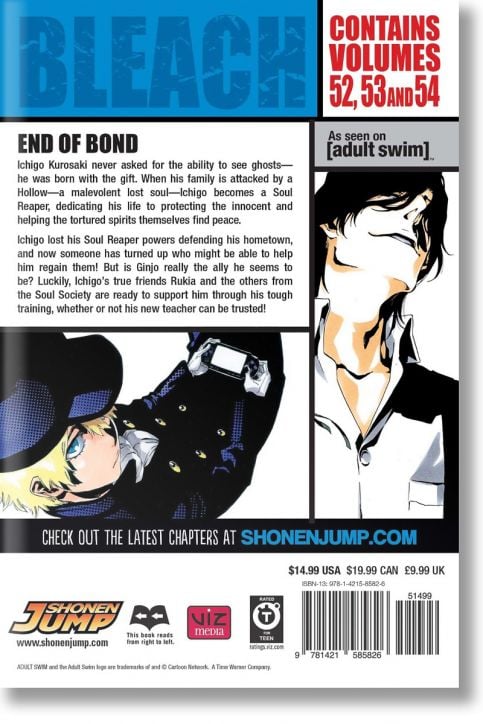 Bleach (3-in-1 Edition), Vol. 18