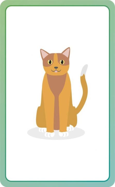 German for Everyone Junior First Words Flash Cards