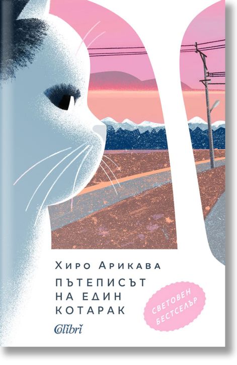 Пътеписът на един котарак