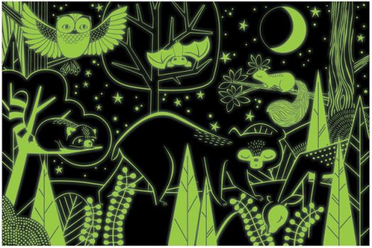 Детски светещ Mudpuppy: Горски обитатели, 100 части