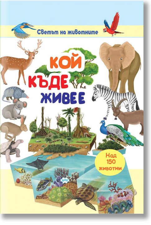 Кой къде живее