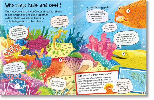 Curious Questions & Answers About Animals