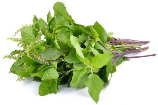 Семена за билкови чайове Piccolo, 3 вида