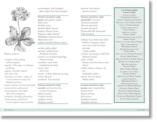 Plant Names Explained