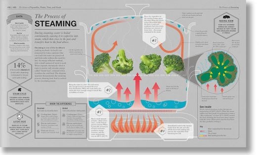 The Science of Cooking