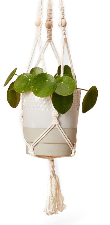 Комплект за висящи растения Calm Club