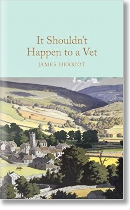 It Shouldn't Happen to a Vet