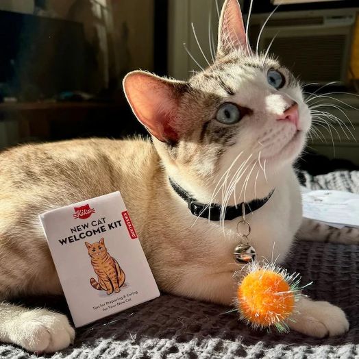 Комплект Kikkerland за посрещане на нов домашен любимец - коте