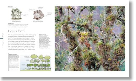 The Science of the Earth