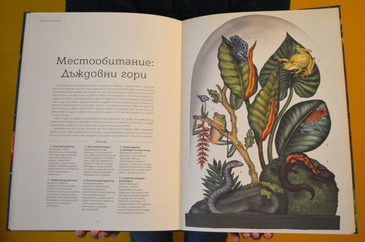 Добре дошли в музея: Музеят на животните