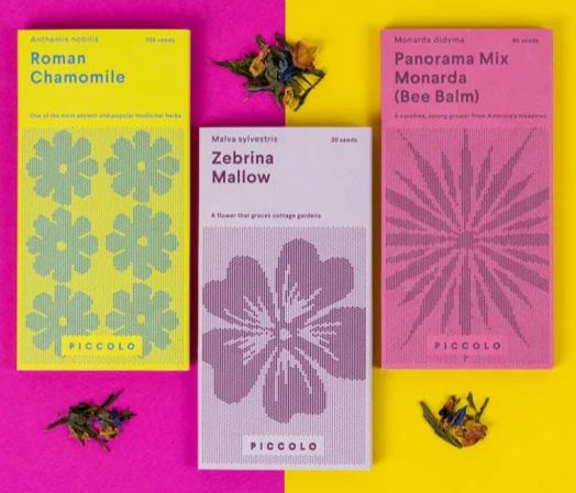 Семена за флорални чайове Piccolo, 3 вида