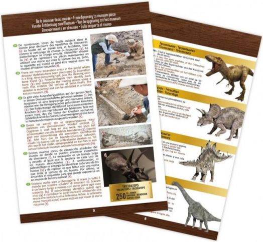 Изследователски комплект Buki - Череп на динозавър Трицератопс