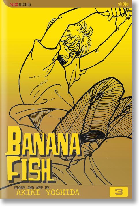 Banana Fish, Vol. 3