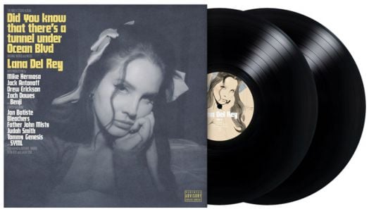 Did You Know That There's a Tunnel Under Ocean Blvd (VINYL)