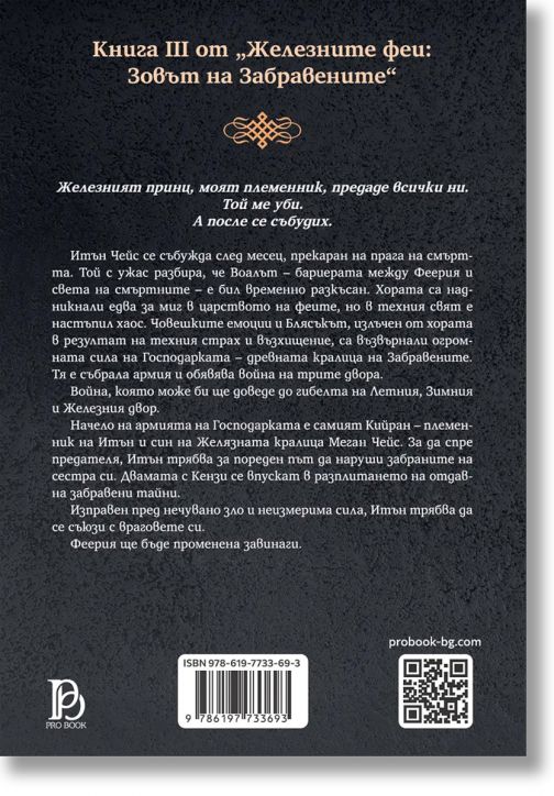 Железните Феи, книга 7: Железният воин