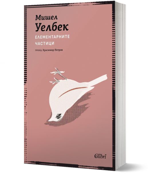 Елементарните частици