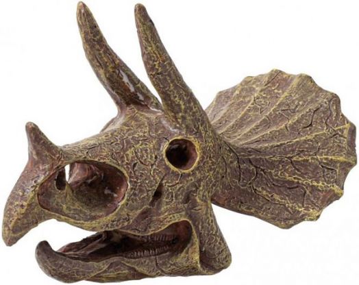 Изследователски комплект Buki - Череп на динозавър Трицератопс