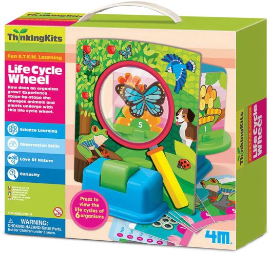 Комплект за умници 4M - Жизненият цикъл